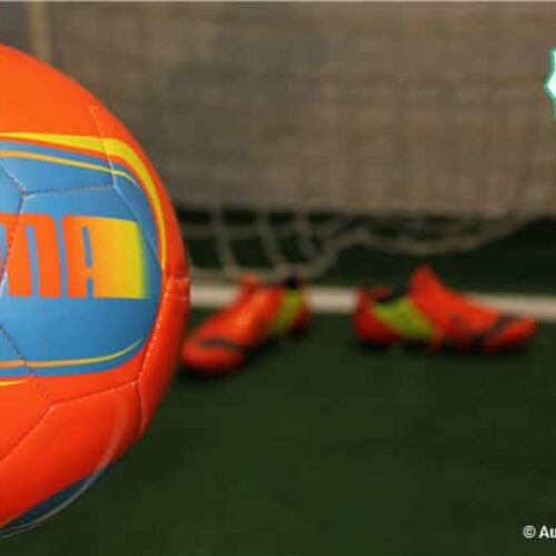 Image de l'article Test des Puma evoPOWER