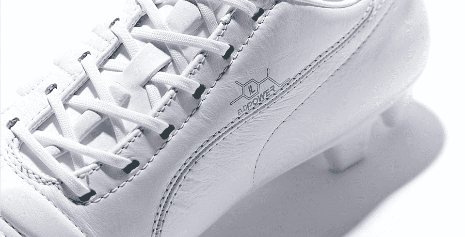 Découvrez les nouvelles Puma Evo Power blanche métallique, dévoilé à l'aube de la saison 2014-2015