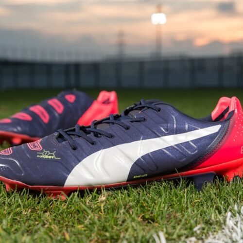 Image de l'article Puma lance les evoPOWER 1.2