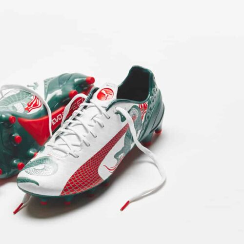 Image de l'article Puma evoSPEED 1.3 Dragon