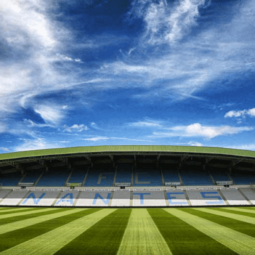 Image de l'article Quels types de pelouse en Ligue 1 ?