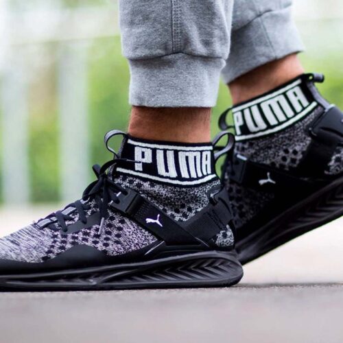 Image de l'article Puma dans l'ère du 