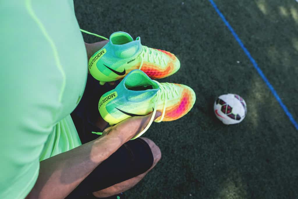 magista verte