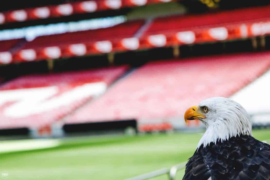 Benfica Estádio da Luz Mais Valiosos do Mundo - SL Benfica