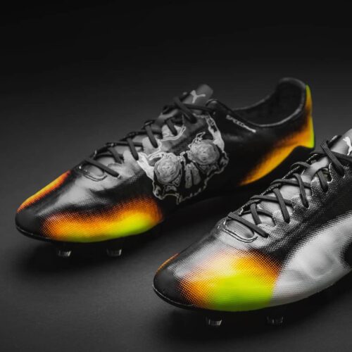 Image de l'article Une nouvelle Puma evoSPEED SL 
