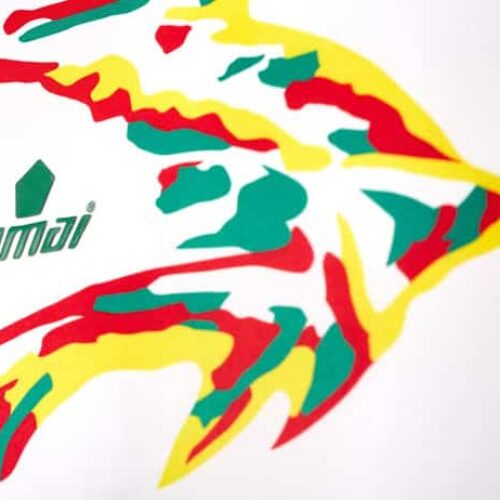 Image de l'article Les maillots de la Coupe d'Afrique des Nations 2017