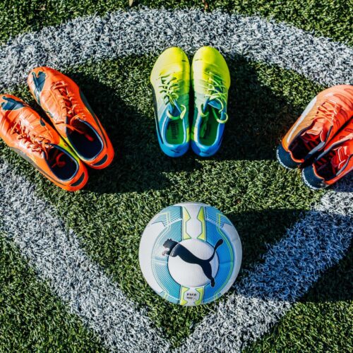 Image de l'article La Vigor 1 : une nouvelle étape dans la gamme Puma evoPOWER