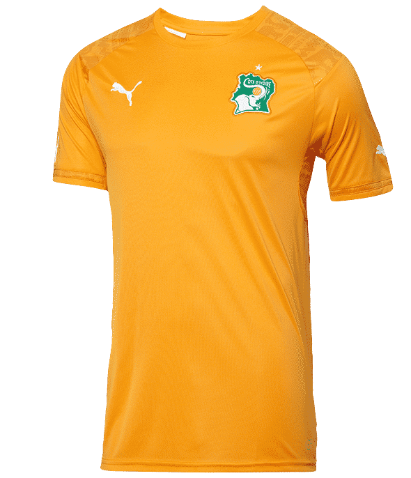 maillot-football-Puma-cote-divoire-can-2015-home-img2