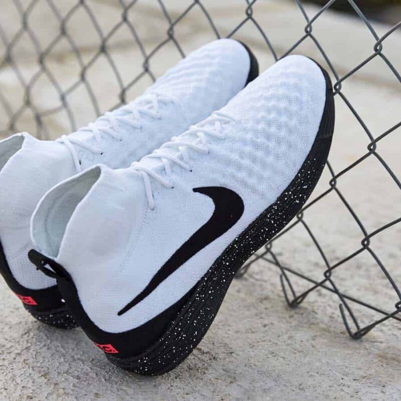 magista rose