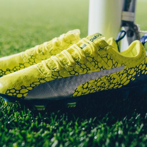 Image de l'article Un nouveau coloris pour la Puma evoPOWER Vigor !