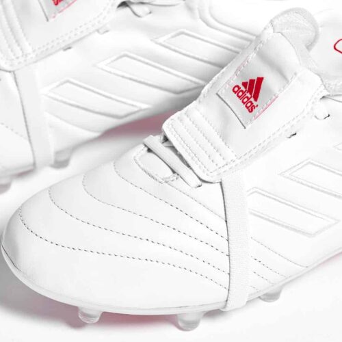 Image de l'article adidas lance un coloris 
