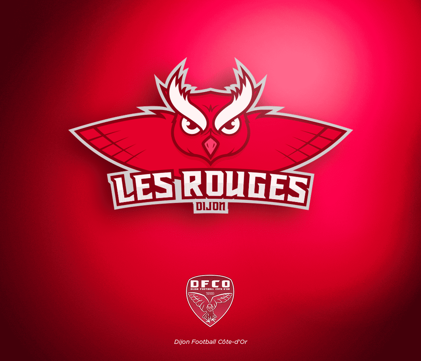 ligue-1-conforama-nba-dijon-fco-logo