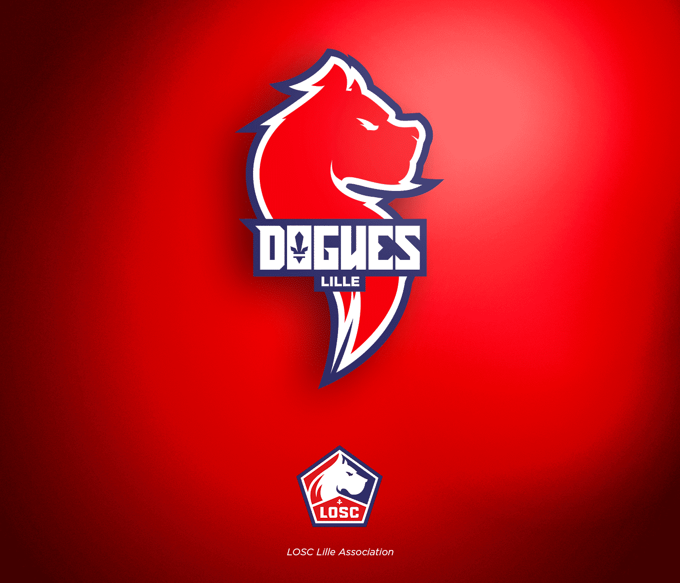 ligue-1-conforama-nba-lille-losc-logo