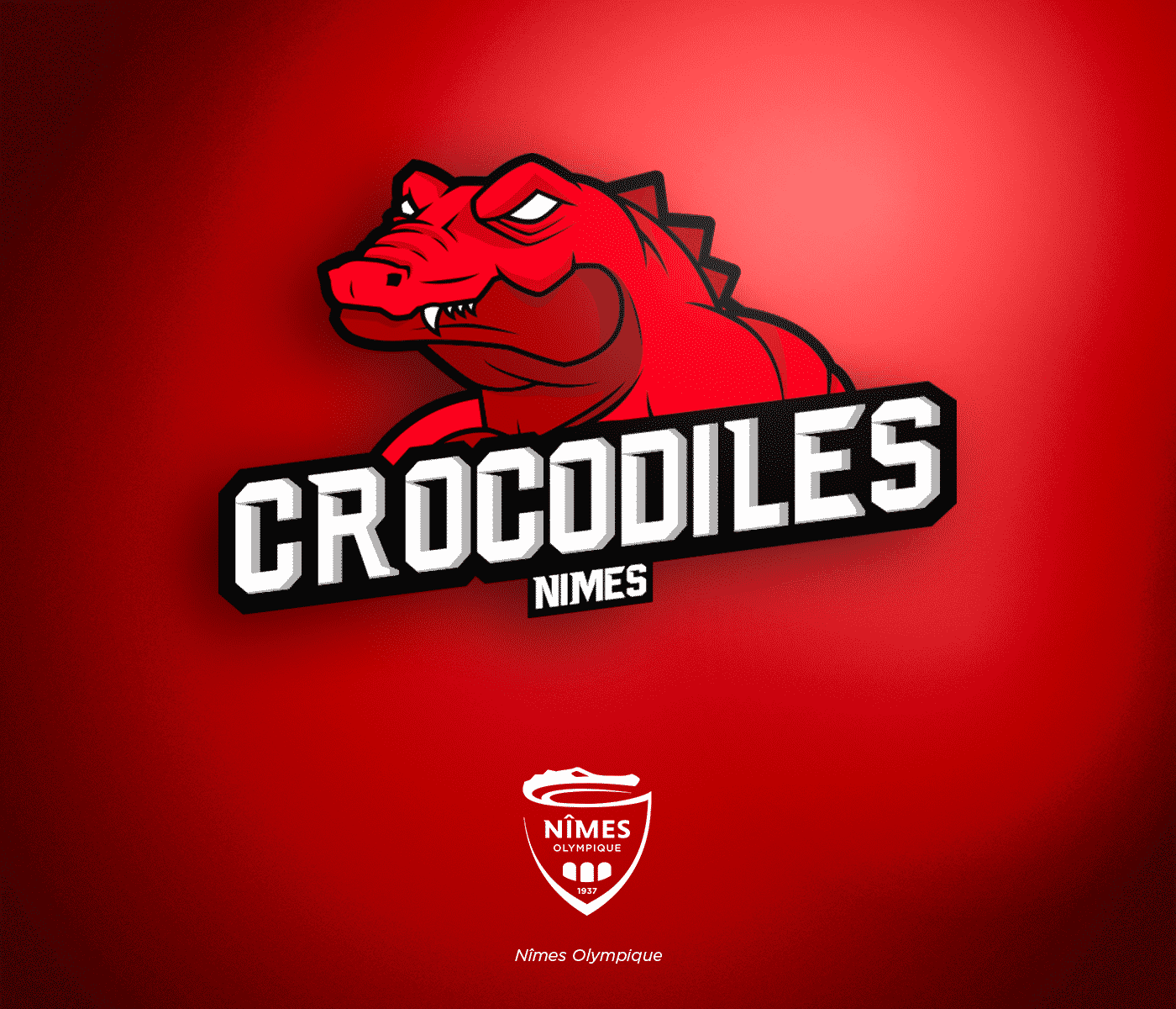 ligue-1-conforama-nba-nimes-olympique-logo