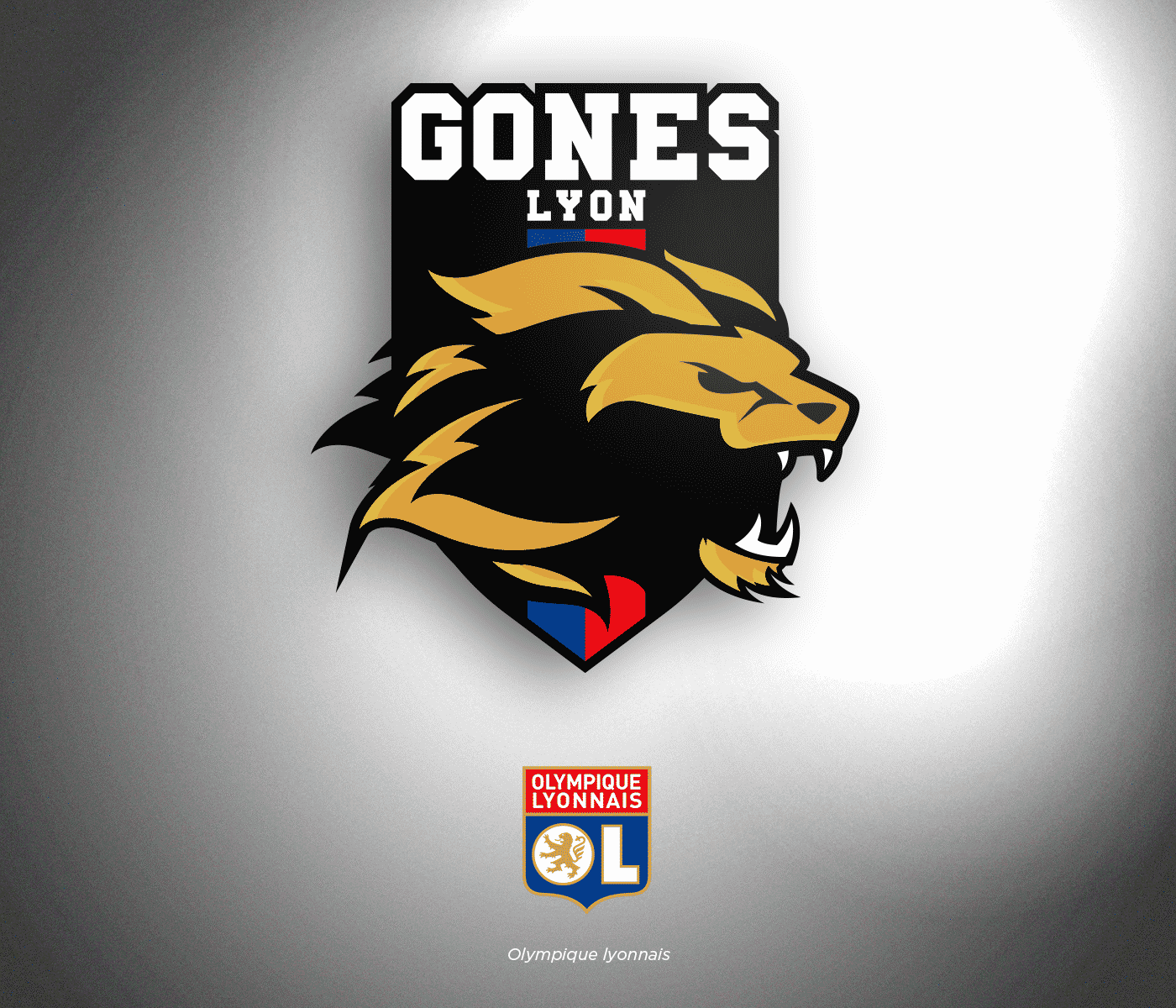 ligue-1-conforama-nba-olympique-lyonnais-logo