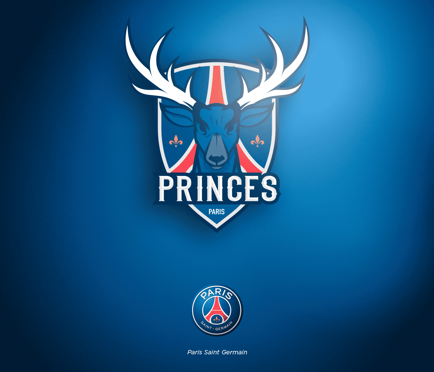 ligue-1-conforama-nba-paris-saint-germain--logo