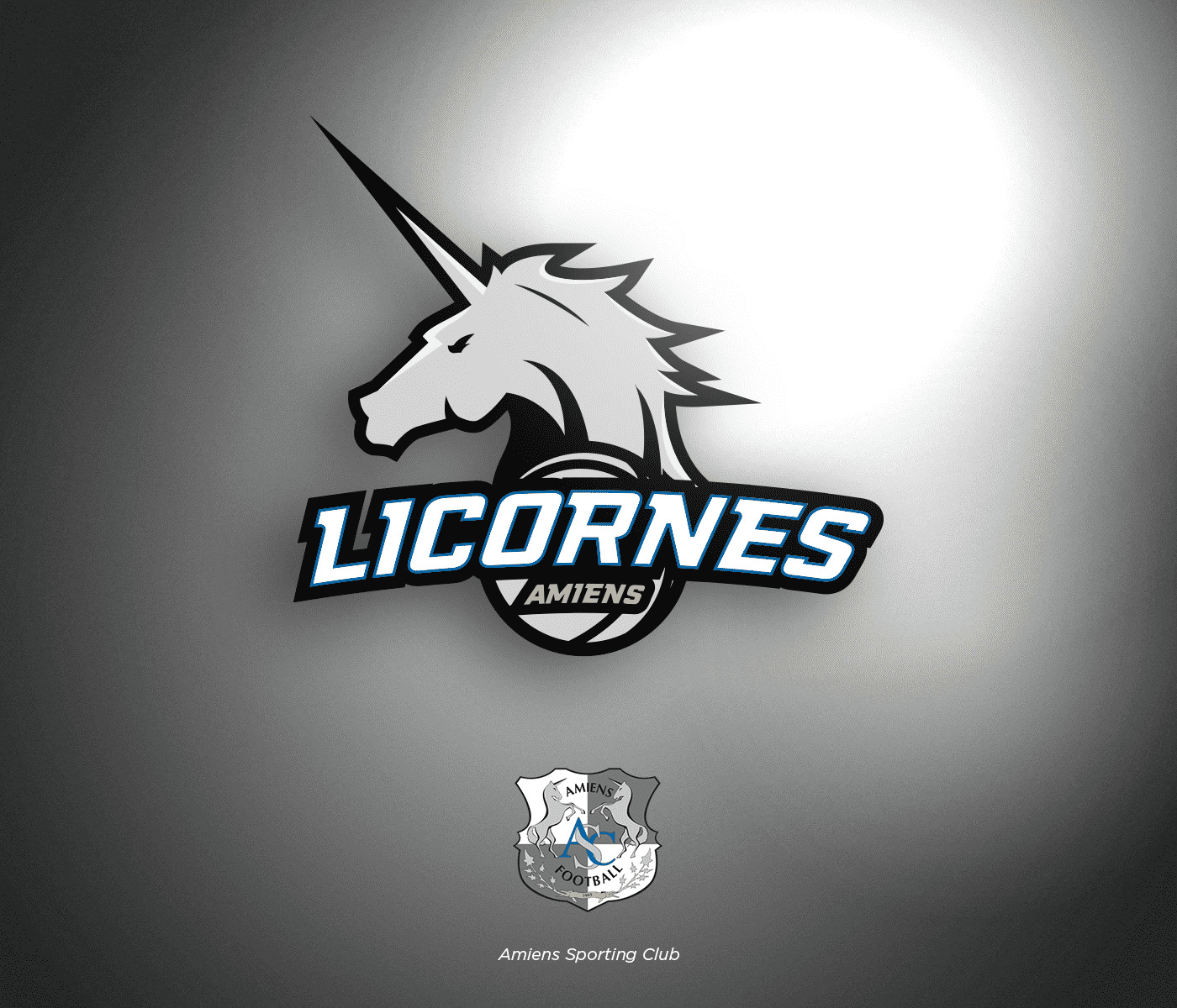 ligue-1-conforama-nba-sc-amiens-logo