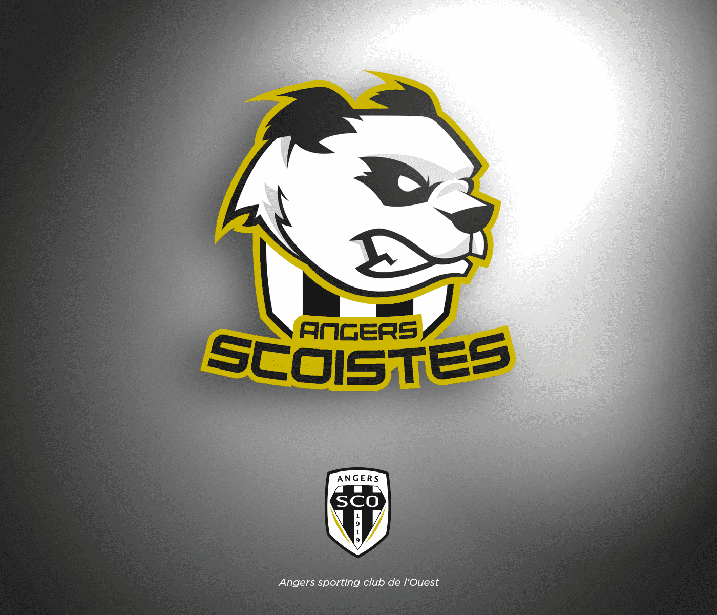 ligue-1-conforama-nba-sc-amiens-logo