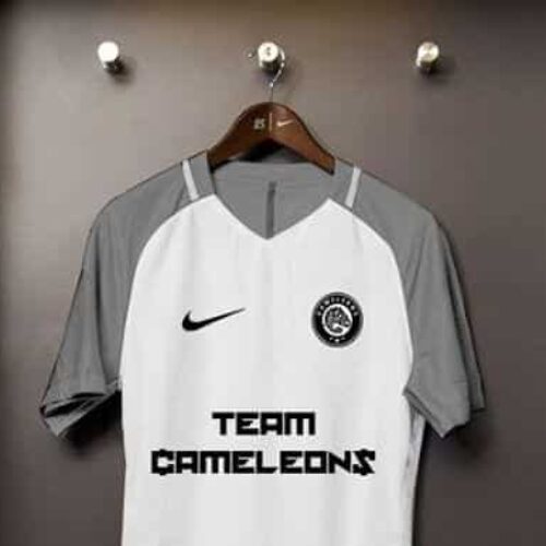 Image de l'article La Team Cameleons présente son nouveau maillot de foot