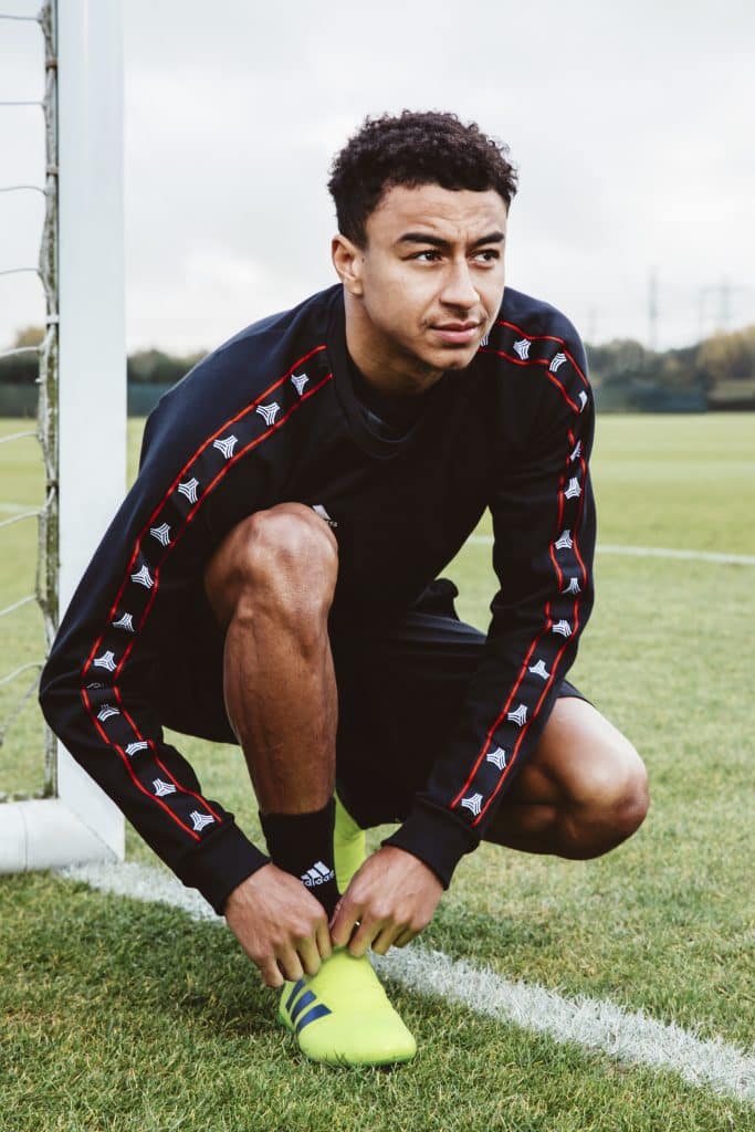 lingard nemeziz