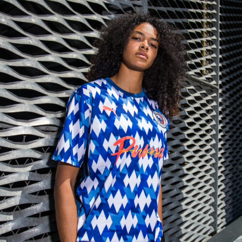 Image de l'article Puma 
