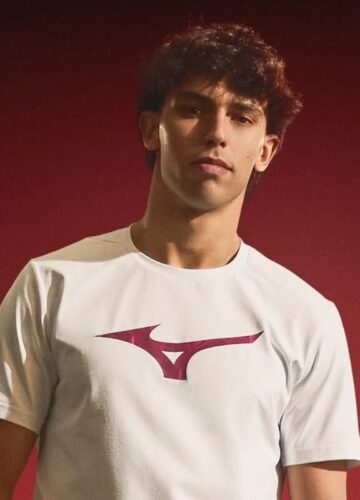 Image du joueur Joao Felix