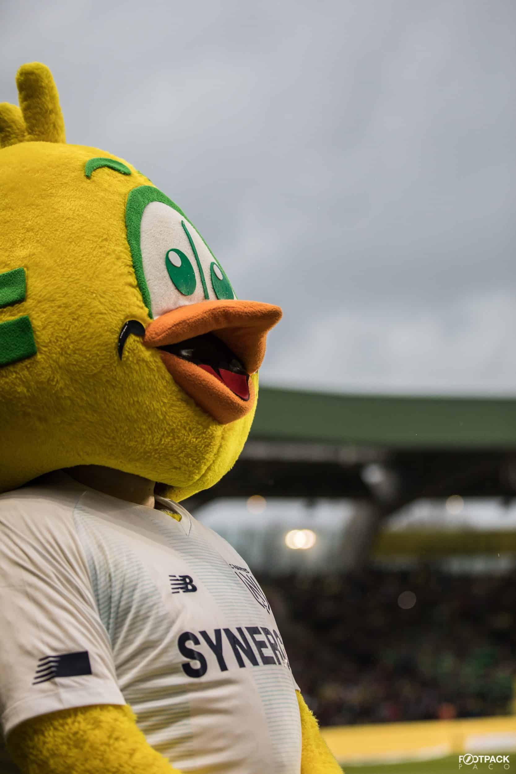 au-stade-fc-nantes-girondins-bordeaux-hommage-sala-26