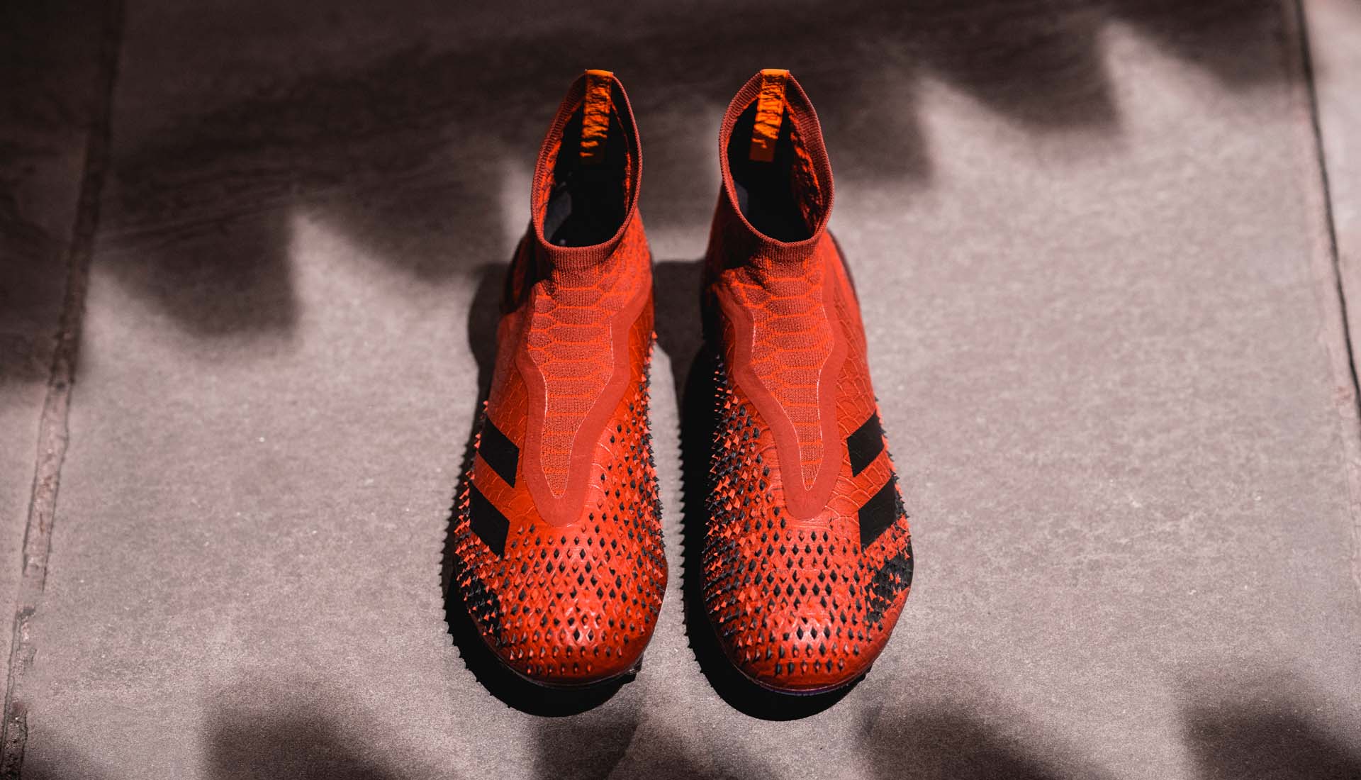 chaussures-foot-adidas-predator-20-dragon-3