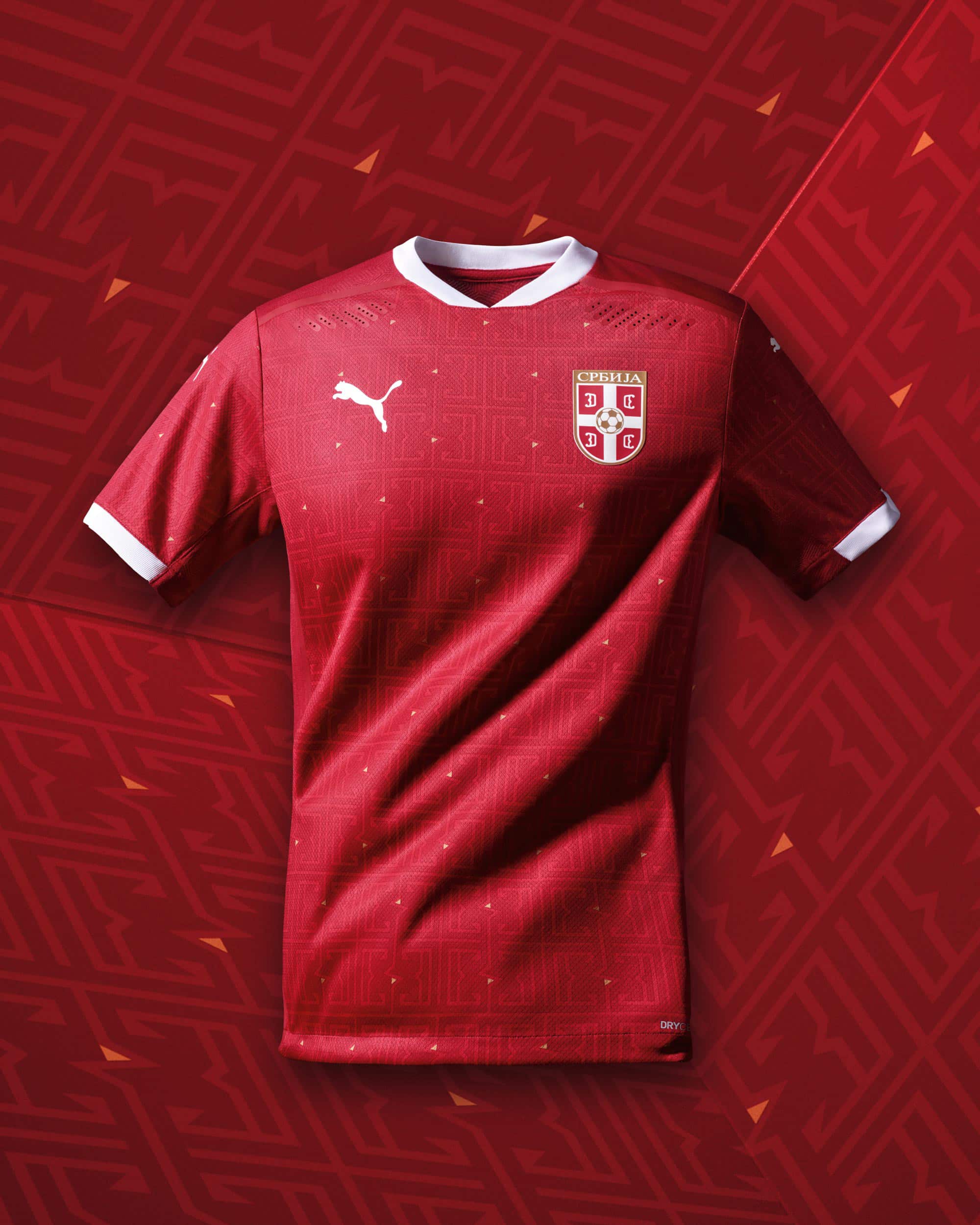 maillot-domicile-serbie-euro-2020-puma