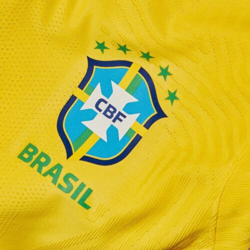 Image de l'article Le Brésil et Nike présentent les nouveaux maillots 2020-2021