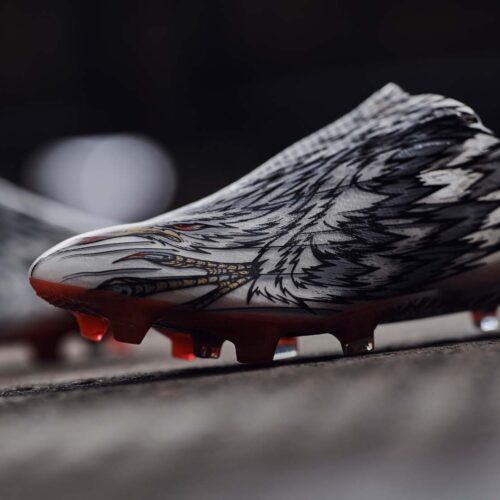 Image de l'article Cuisance, Hakimi et Lucas Moura vont porter des crampons inspirés du faucon pèlerin !