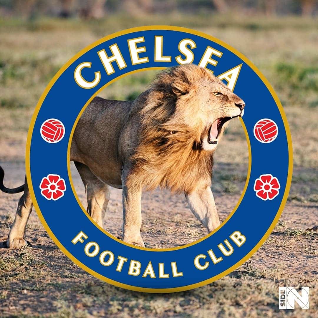 quand-les-blasons-de-foot-deviennent-la-realite-chelsea