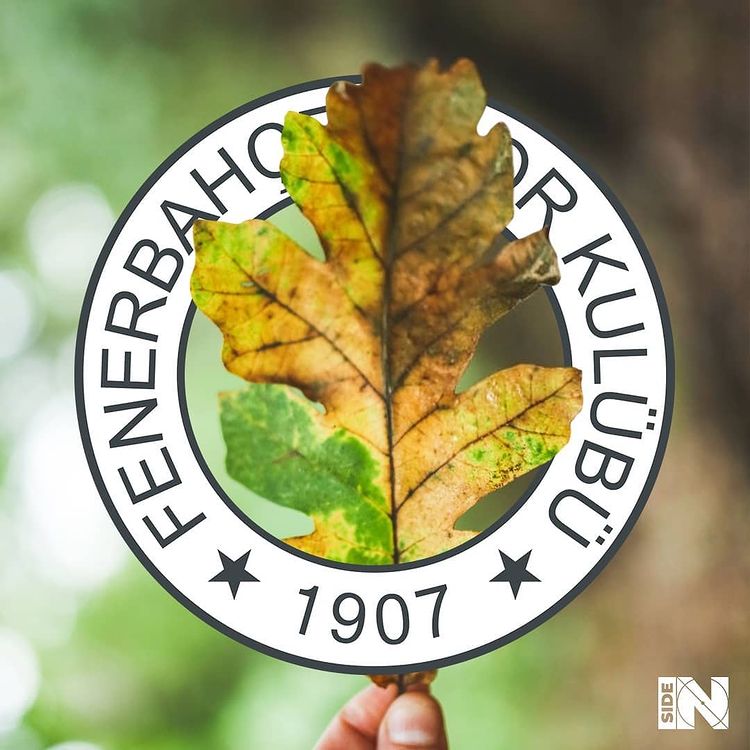quand-les-blasons-de-foot-deviennent-la-realite-fenerbahce