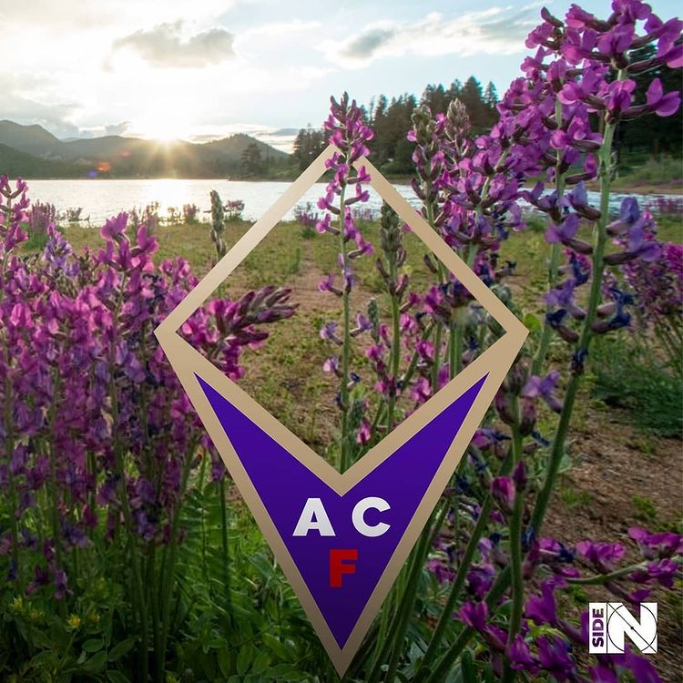 quand-les-blasons-de-foot-deviennent-la-realite-fiorentina