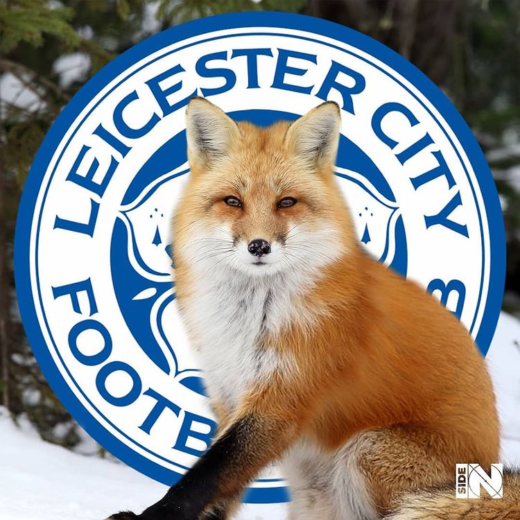 quand-les-blasons-de-foot-deviennent-la-realite-leicester-city