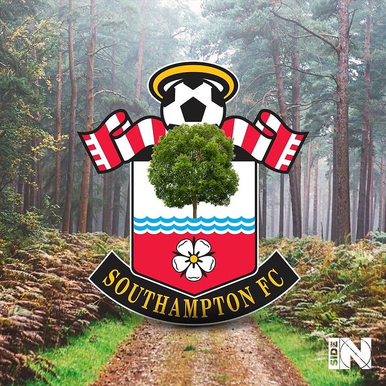 quand-les-blasons-de-foot-deviennent-la-realite-southampton