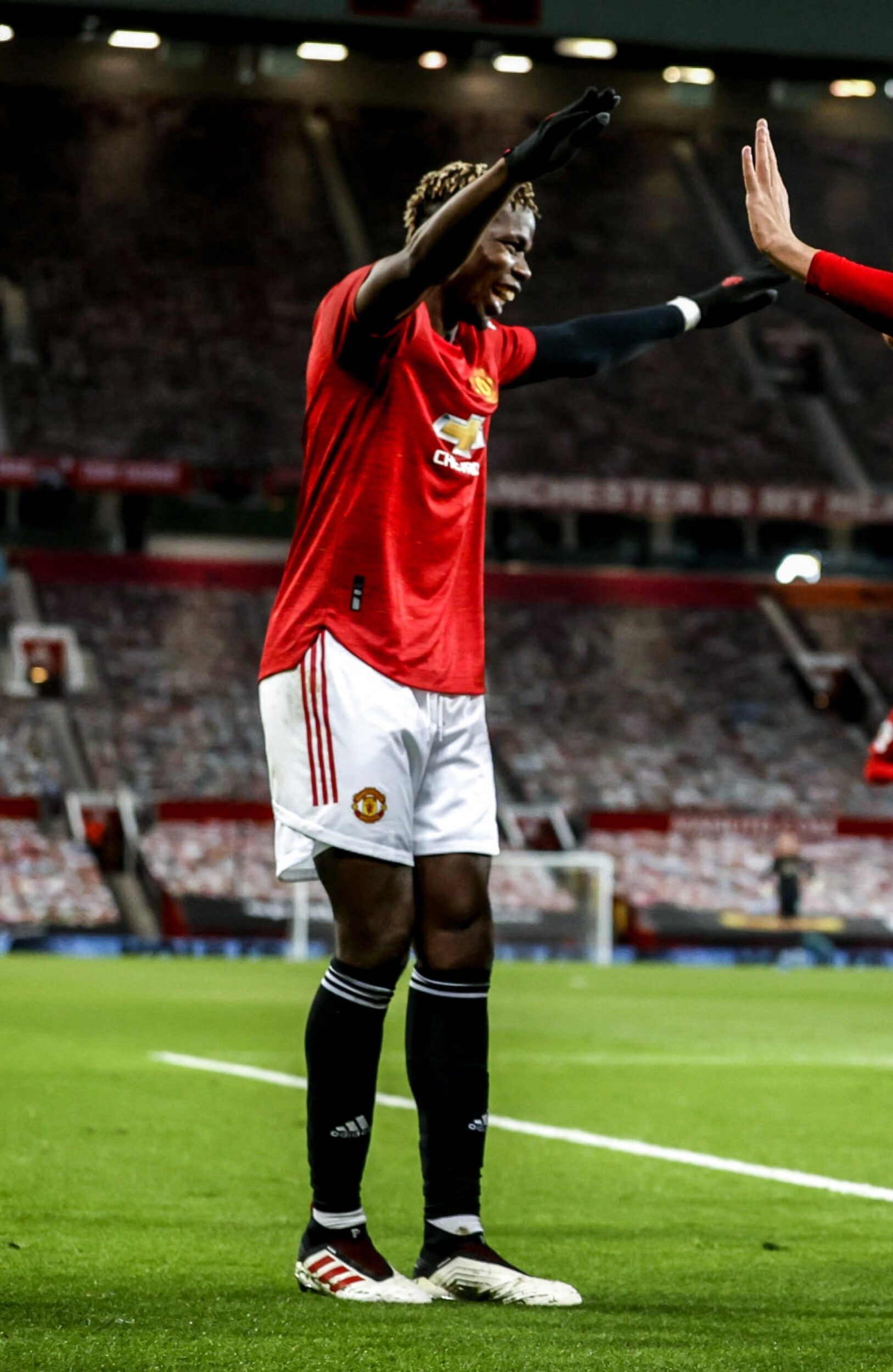 paul pogba adidas predator