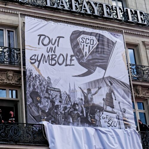 Image de l'article Angers SCO dévoile un nouveau logo !