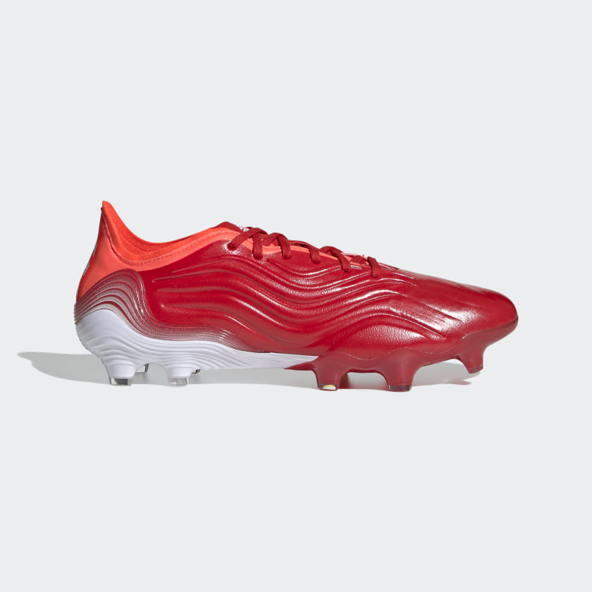 Copa Sense.1 Meteorite