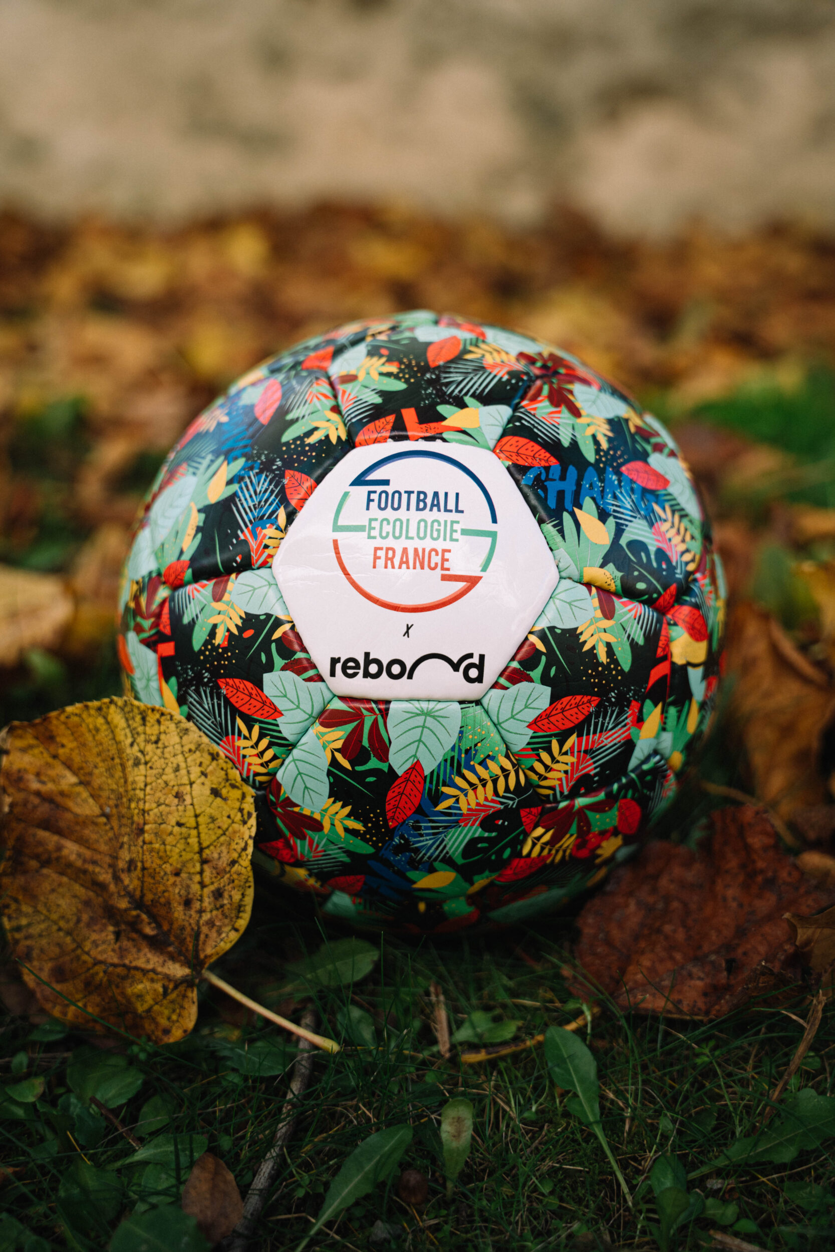 Ballon Football Ecologie France FEF - Rebond