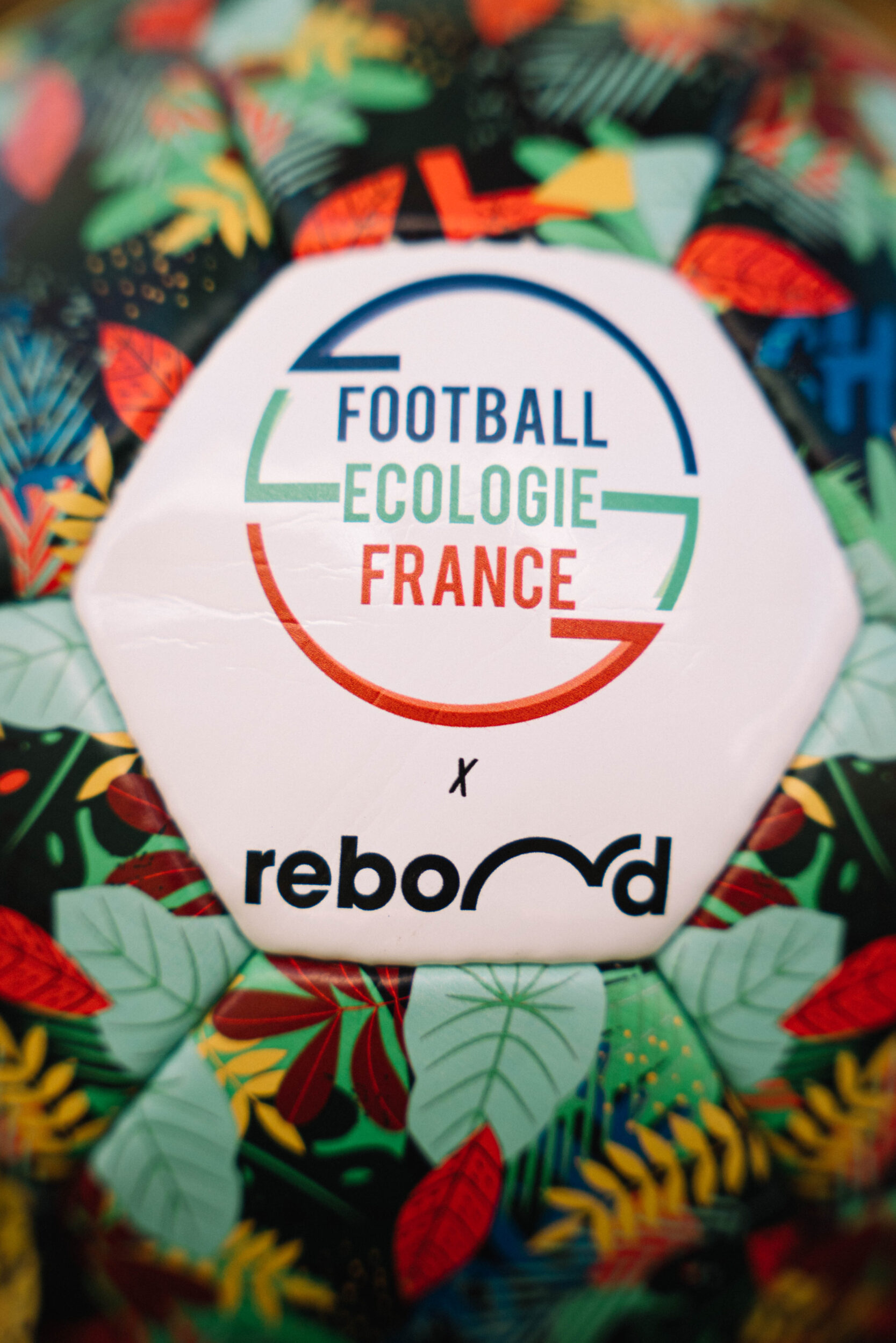 Ballon Football Ecologie France FEF - Rebond