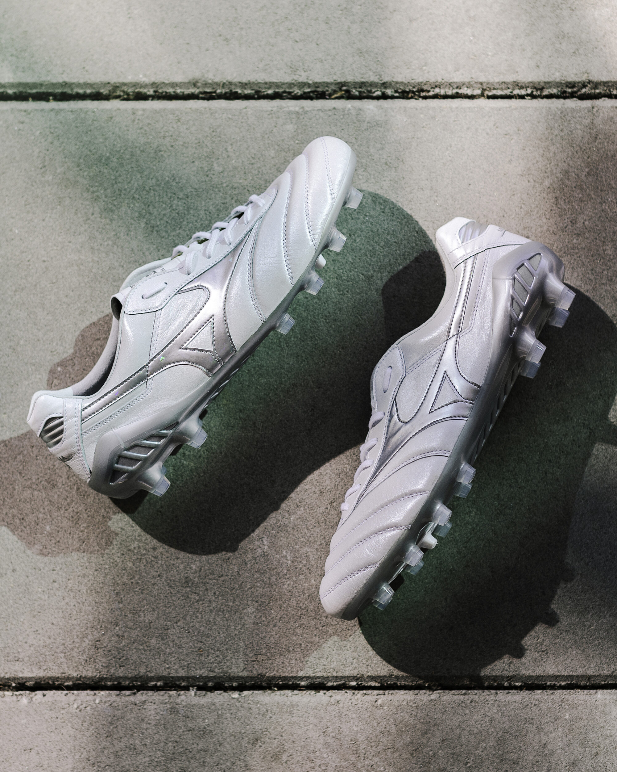 Mizuno Morelia DNA