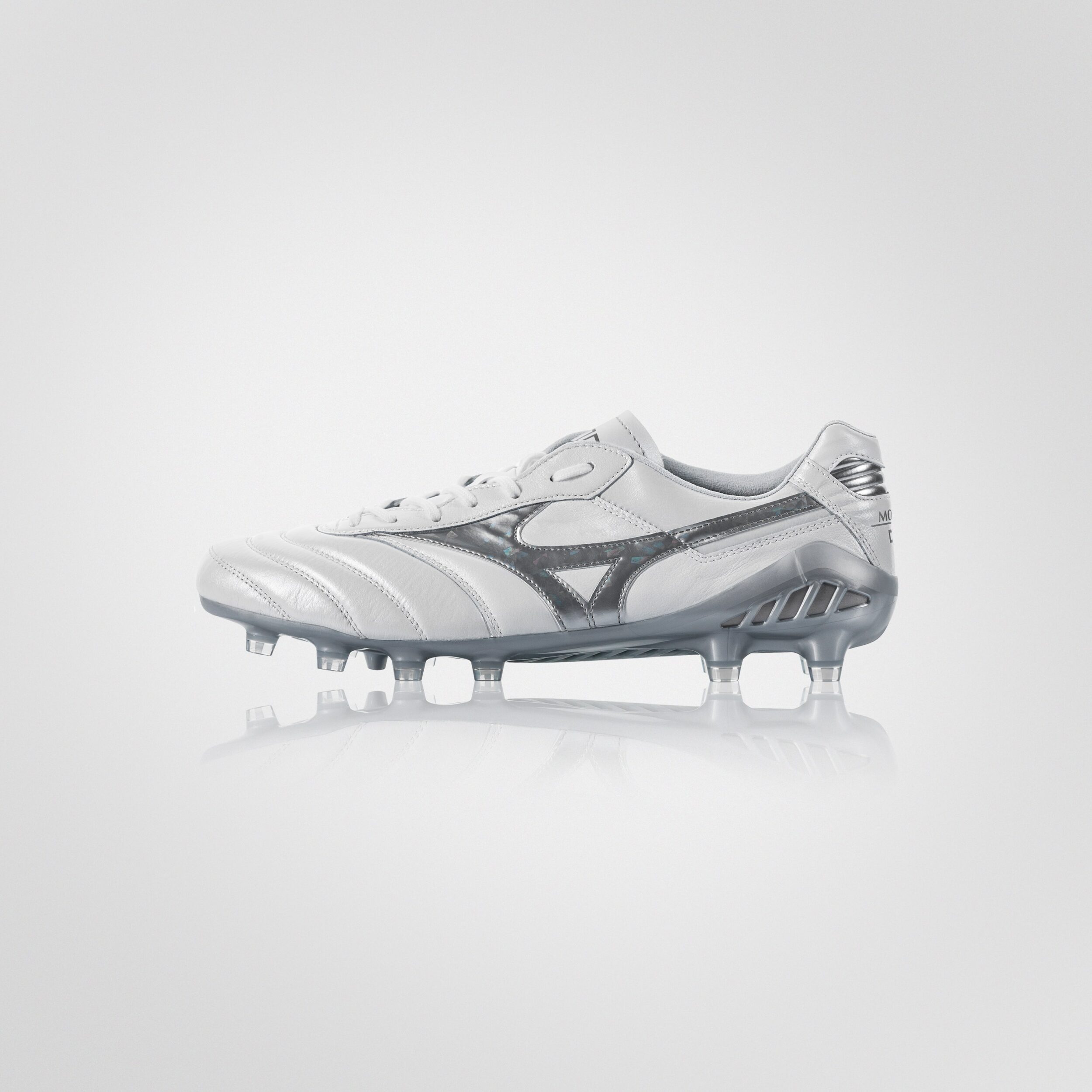 Mizuno Morelia DNA