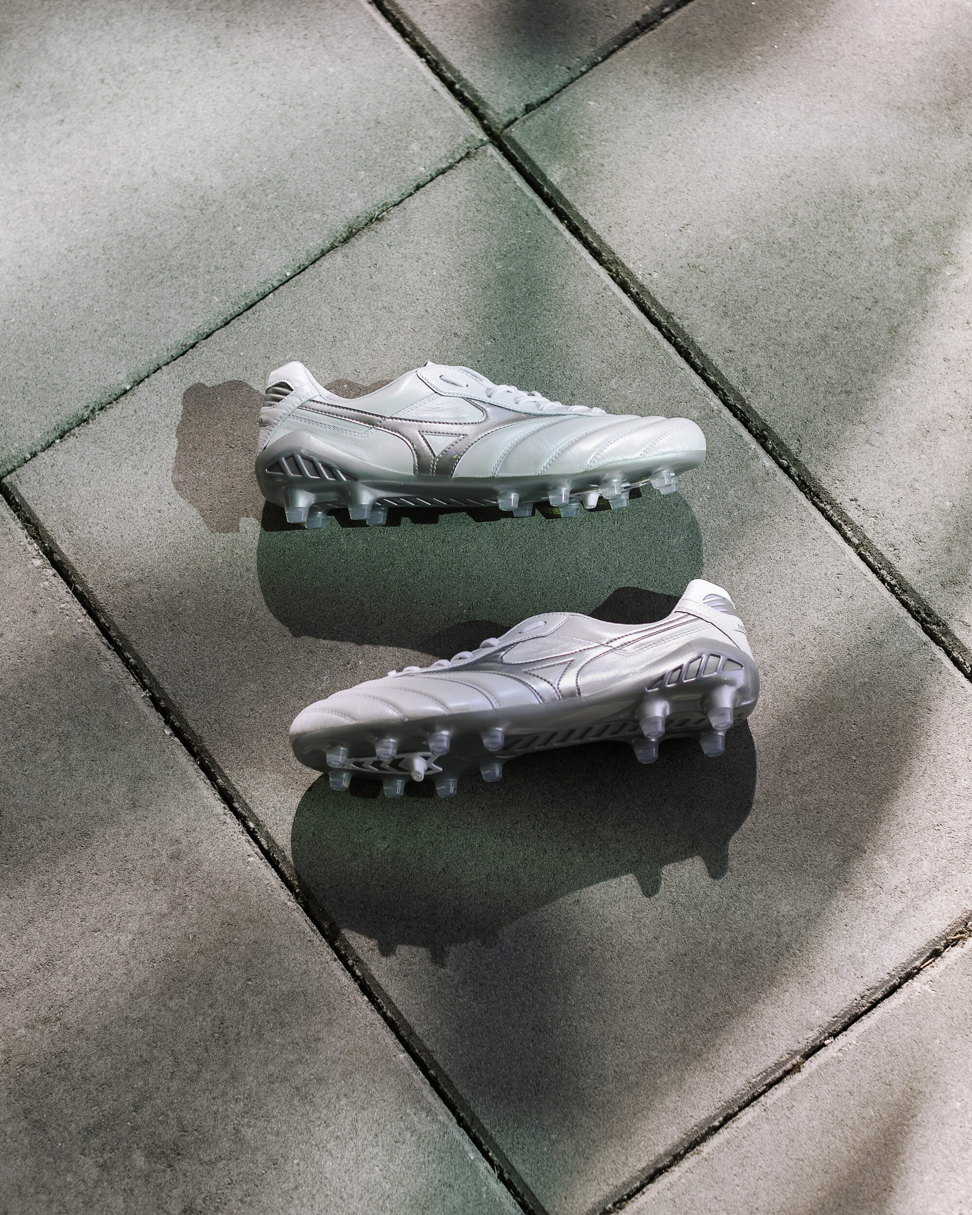Mizuno Morelia DNA