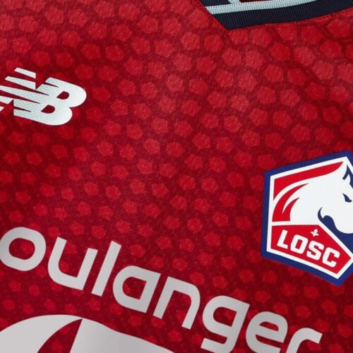 Image de l'article Pourquoi il y a t'il un dogue sur le logo du LOSC ?