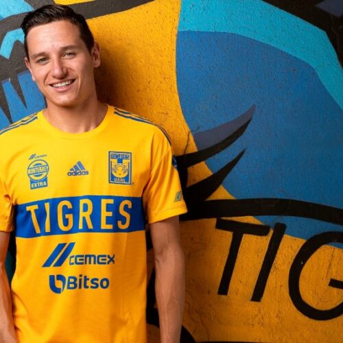 Image de l'article Tigres : les maillots de la saison 2022-2023 dévoilés par adidas
