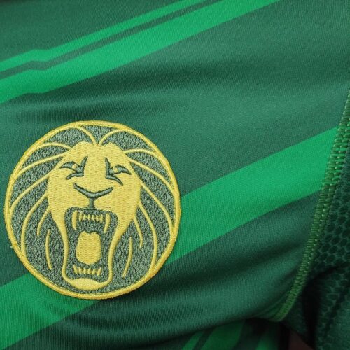 Image de l'article Cameroun : on en sait plus sur les nouveaux maillots de la Coupe du Monde fabriqués par One All Sports