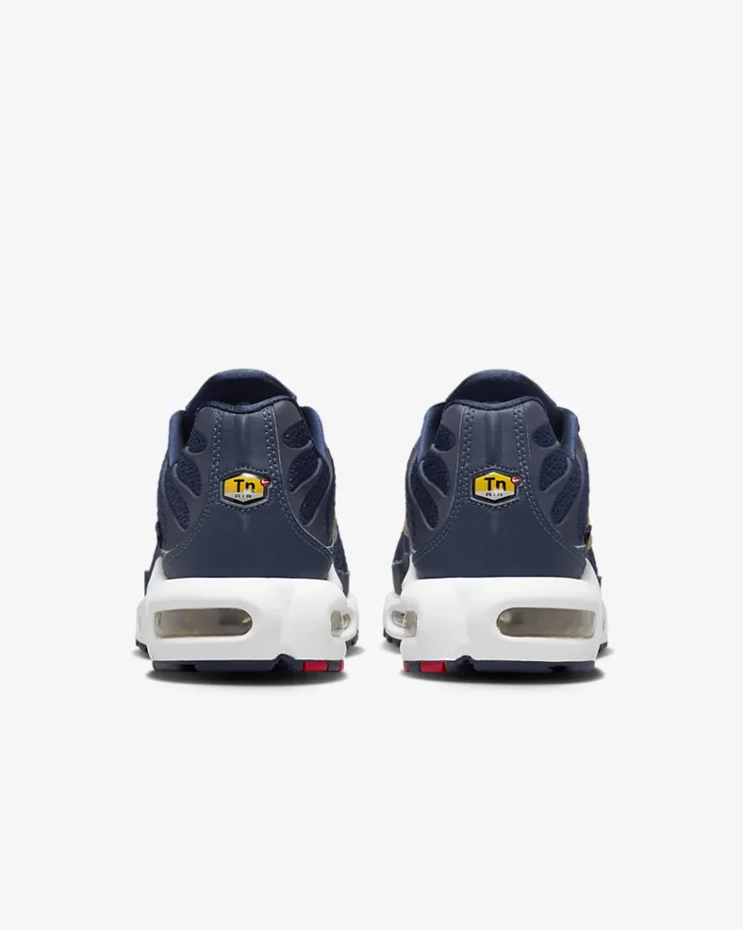 Tn Equipe De France Coupe Du Monde Nike Air Max Plus : une paire aux couleurs du maillot de la France