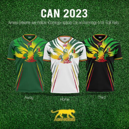 Image de l'article Airness dévoile deux collections pour les joueurs du Mali