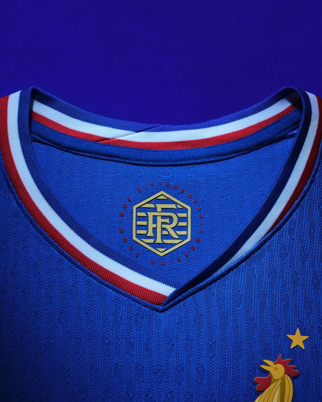 Maillot France Maignan Euro 2024 (Pays-Bas) - Nike Noir - Taille XL